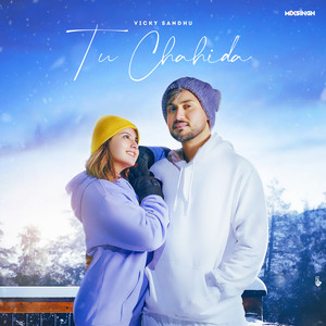 Tu Chahida by Vicky sandhu, MixSingh