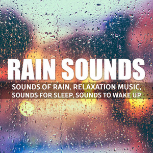 The Pure Sound by Peter Calm