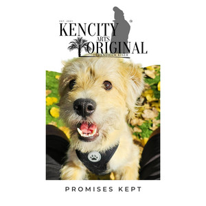 Promises Kept by DEKENDRICK KISER