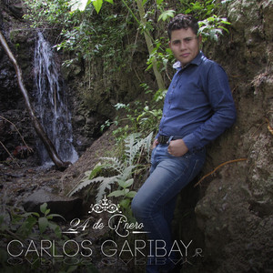 Carlos Garibay poster