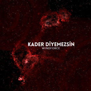 Kader Diyemezsin