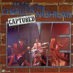 Wildcattin' - Live by Little Charlie & The Nightcats