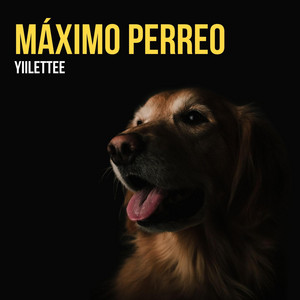 Máximo Perreo by Yiilettee