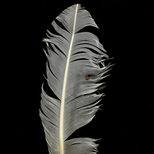 Resfa - Perdu dans l'espace