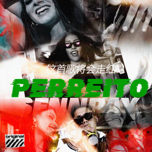 Perreito by Sennpay