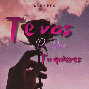 Te Vas por Que Tu Quieres