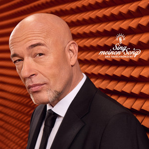 Deine Liebe (aus "Sing meinen Song, Vol. 13")