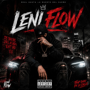 Sin sentimientos by Leni flow