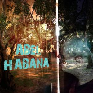 Papeles tercos by Abel Habana