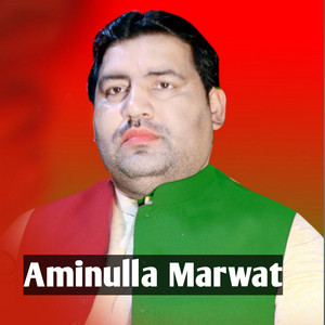 Aminullah Marwat - Har Sa chi kawe Guley