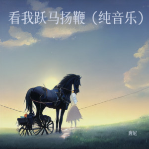 看我跃马扬鞭（钢琴纯音乐） by 唐尼