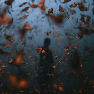 autumn wind by ambit.