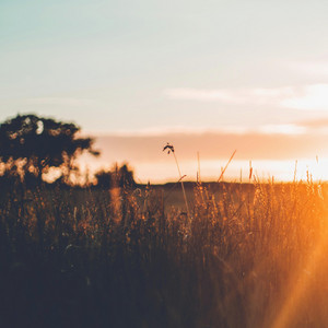 Held in Amber Air by Brisa Dourada