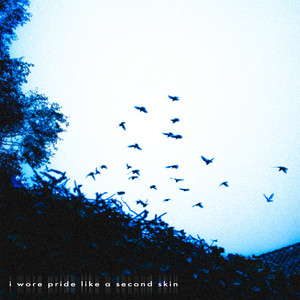i wore pride like a second skin by mittelkin