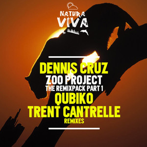 Zoo Project - Qubiko Remix cover art