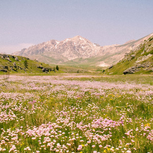 Meadow by tatsuo, Aisake