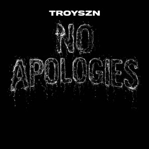 NO APOLOGIES by Troyszn