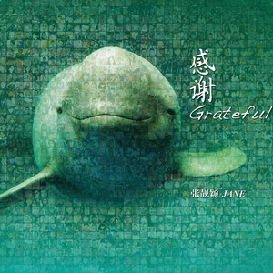 Jane Zhang - 画心Ⅱ