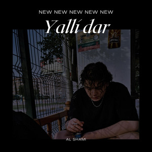 AL SHAMI - Yalli Dar