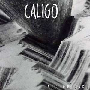 Typical Format by Caligo