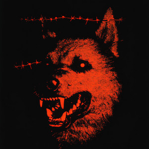 Dog Face by Fazy Hooker