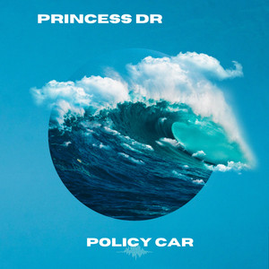 policy car by princess dr