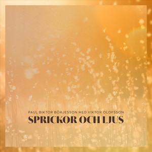 Sprickor och ljus (Live)