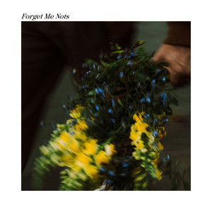 Forget Me Nots by Nick Mellow