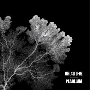 Waiting For Stevie - song and lyrics by Pearl Jam | Spotify