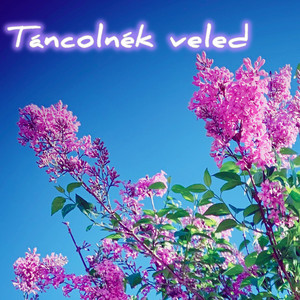 Táncolnék Veled