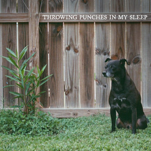Throwing Punches In My Sleep by Colournoise