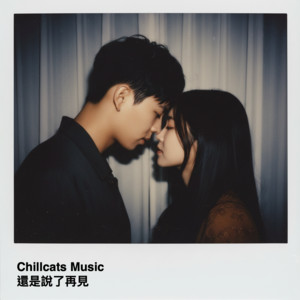 不一定要愛 by Chillcats music