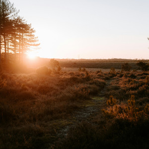 early evening by natureboy.