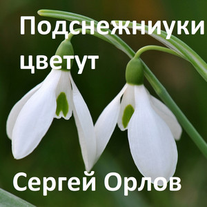 Подснежники цветут by Сергей Орлов