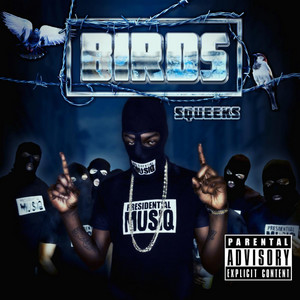 Portada de Birdz