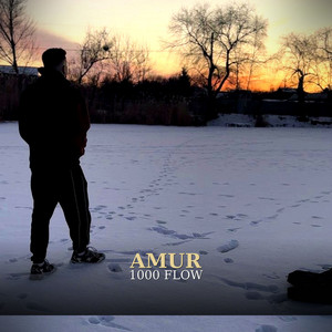 AMUR — 1000 FLOW