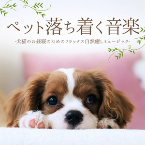 ペット落ち着く音楽：吠えるのが止まる動物癒しサウンド・心地いいお昼寝自然ミュージック