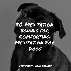 50 Meditation Sounds for Comforting Meditation For Dogs album