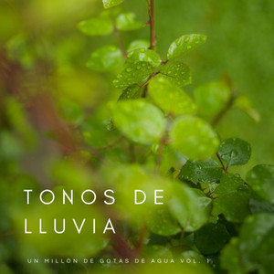 Tonos De Lluvia: Un Millón De Gotas De Agua Vol. 1 album