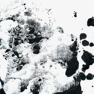 Flow Riiot - Album by Torii Wolf | Spotify