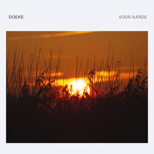 Zwaantje (Little Swan) by Doeke