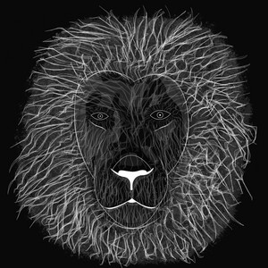 Lion by iamjakehill