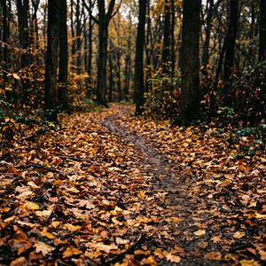 Spooled by Ingrid Sæther