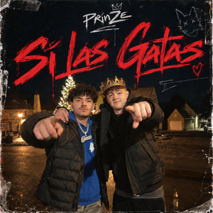 Si Las Gatas by PrinZe