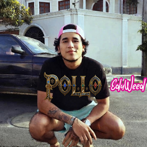 POLLO by eduweed