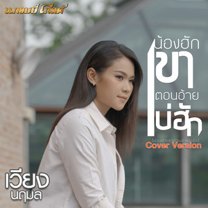 VIENG NARUEMON - น้องฮักเขา ตอนอ้ายบ่ฮัก (Cover)