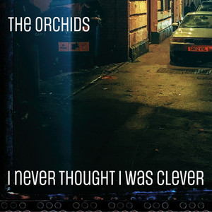 Striving For The Lazy Perfection - Album by The Orchids | Spotify