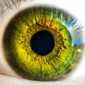 Glazed Eyes by IDS