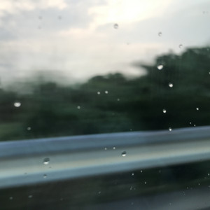 Window