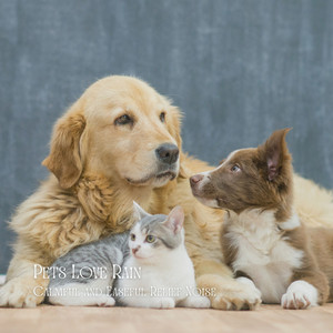 Pets Love Rain: Calmful and Easeful Relief Noise album